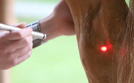 Lasertherapie
