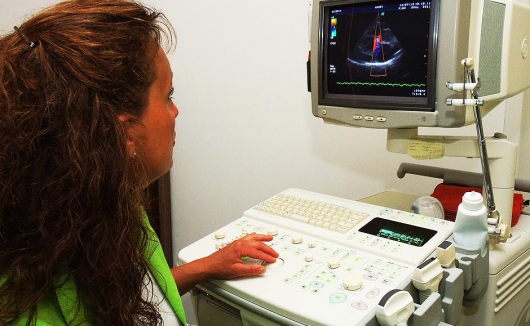 Sonografie, Ultraschalluntersuchung