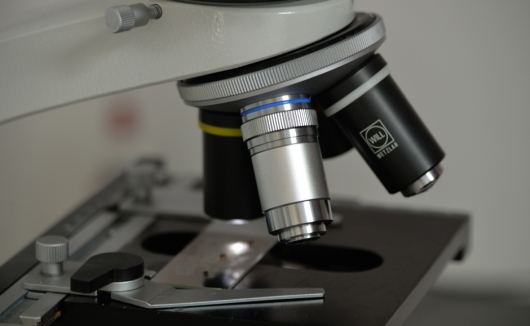 Das Mikroskop - unentbehrlich zum Beispiel für unsere Kotuntersuchungen (Wurmbefall) und für die Untersuchung von Hautgeschabseln