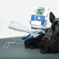 Hund wird mit dem Intelect Vet behandelt - unserem Kombigerät für Elektro-, Laser-, und/oder Ultraschalltherapie zur Verbesserung der Wundheilung, Förderung der Durchblutung und zur Muskelstärkung