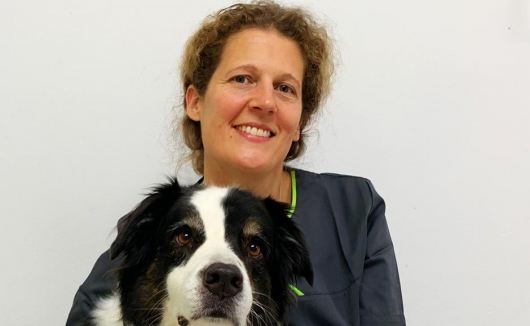 Tierarztpraxis Dr. Kamlage – Angelica Fritsch