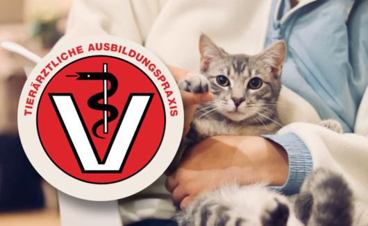 Tierärztliche Ausbildungpraxis